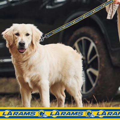 Show full view: Pets First Satin Nylon Dog Leash, Los Angeles Rams, Medium: 48-in long, 5/8-in wide slide 4 of 5
