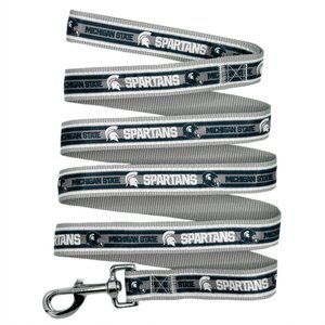 Pets First Satin Nylon Dog Leash, Michigan State, Medium: 48-in long, 5/8-in wide