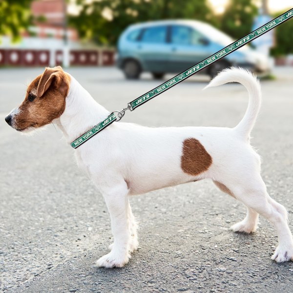 Show full view: Pets First Satin Nylon Dog Leash, New York Jets, Large: 72-in long, 1-in wide slide 4 of 5