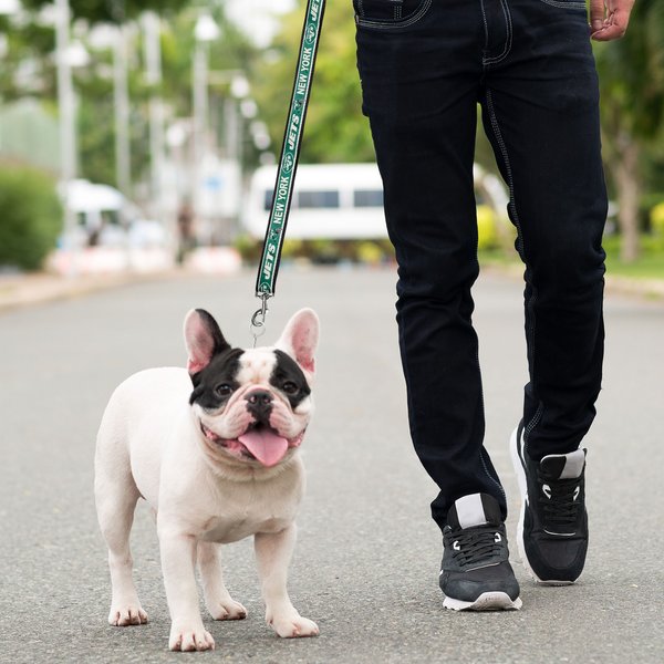 Show full view: Pets First Satin Nylon Dog Leash, New York Jets, Large: 72-in long, 1-in wide slide 3 of 5