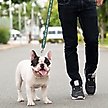 Show in main carousel: Pets First Satin Nylon Dog Leash, New York Jets, Large: 72-in long, 1-in wide slide 3 of 5