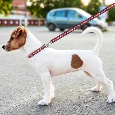 Show full view: Pets First Satin Nylon Dog Leash, Ole Miss, Large slide 2 of 4