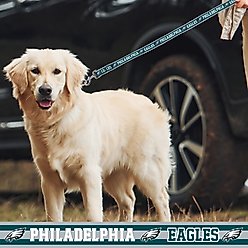 Pets First Satin Nylon Dog Leash, Philadelphia Eagles, Large: 72-in long, 1-in wide slide 2 of 5
