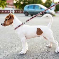 Pets First Satin Nylon Dog Leash, Texas A & M, Medium slide 2 of 4