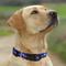 Show in main carousel: Pets First Satin Nylon Standard Dog Collar, 76Ers, Large: 14 to 24-in neck, 1-in wide slide 4 of 6
