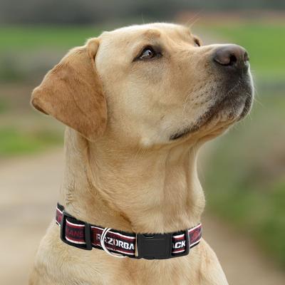 Show full view: Pets First Satin Nylon Standard Dog Collar, Arkansas, Large: 14 to 24-in neck, 1-in wide slide 4 of 6