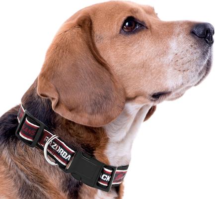 Show full view: Pets First Satin Nylon Standard Dog Collar, Arkansas, Large: 14 to 24-in neck, 1-in wide slide 3 of 6