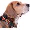 Show in main carousel: Pets First Satin Nylon Standard Dog Collar, Auburn, Large: 14 to 24-in neck, 1-in wide slide 3 of 6