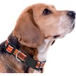 Show in main carousel: Pets First Satin Nylon Standard Dog Collar, Auburn, Medium: 10 to 16-in neck, 5/8-in wide slide 3 of 6