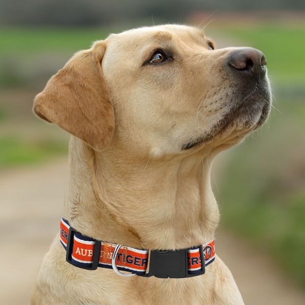 Show full view: Pets First Satin Nylon Standard Dog Collar, Auburn, Medium: 10 to 16-in neck, 5/8-in wide slide 4 of 6