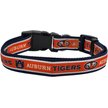 Show in main carousel: Pets First Satin Nylon Standard Dog Collar, Auburn, Medium: 10 to 16-in neck, 5/8-in wide slide 2 of 6