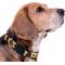 Show in main carousel: Pets First Satin Nylon Standard Dog Collar, Boston Bruins, Large: 14 to 24-in neck, 1-in wide slide 4 of 6