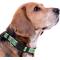 Show in main carousel: Pets First Satin Nylon Standard Dog Collar, Boston Celtics, Large: 14 to 24-in neck, 1-in wide slide 5 of 7