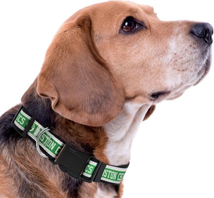 Show full view: Pets First Satin Nylon Standard Dog Collar, Boston Celtics, Large: 14 to 24-in neck, 1-in wide slide 5 of 7
