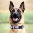 Show in main carousel: Pets First Satin Nylon Standard Dog Collar, Buffalo Bills, X-Large: 22 to 32-in neck, 1.25-in wide slide 3 of 6