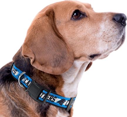 Show full view: Pets First Satin Nylon Standard Dog Collar, Carolina Panthers, Large: 14 to 24-in neck, 1-in wide slide 4 of 6