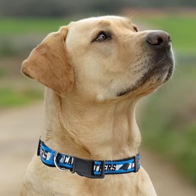 Show full view: Pets First Satin Nylon Standard Dog Collar, Carolina Panthers, Medium: 10 to 16-in neck, 5/8-in wide slide 5 of 6