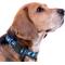 Show in main carousel: Pets First Satin Nylon Standard Dog Collar, Carolina Panthers, Medium: 10 to 16-in neck, 5/8-in wide slide 4 of 6