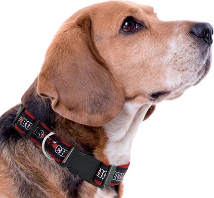 Show full view: Pets First Satin Nylon Standard Dog Collar, Chicago Bulls, Large: 14 to 24-in neck, 1-in wide slide 4 of 6