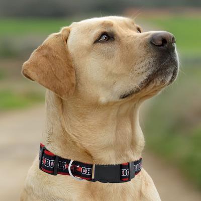 Show full view: Pets First Satin Nylon Standard Dog Collar, Chicago Bulls, Large: 14 to 24-in neck, 1-in wide slide 5 of 6