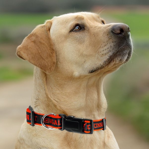 Show full view: Pets First Satin Nylon Standard Dog Collar, Cincinnati Bengals, Large: 14 to 24-in neck, 1-in wide slide 5 of 6