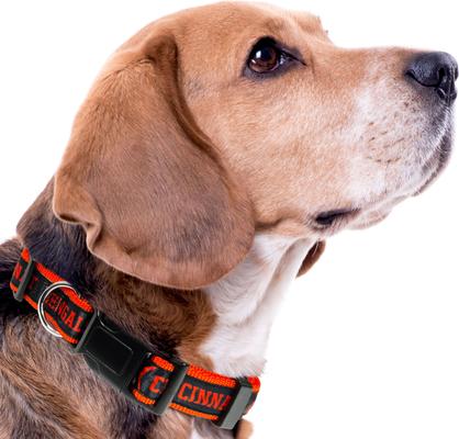 Show full view: Pets First Satin Nylon Standard Dog Collar, Cincinnati Bengals, Large: 14 to 24-in neck, 1-in wide slide 4 of 6