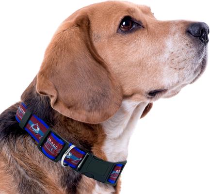 Show full view: Pets First Satin Nylon Standard Dog Collar, Colorado Avalanche, Medium: 10 to 16-in neck, 5/8-in wide slide 4 of 6