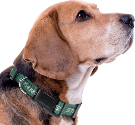 Show full view: Pets First Satin Nylon Standard Dog Collar, Dallas Stars, Large: 14 to 24-in neck, 1-in wide slide 4 of 6