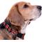 Show in main carousel: Pets First Satin Nylon Standard Dog Collar, Detroit Red Wings, Large: 14 to 24-in neck, 1-in wide slide 4 of 6