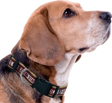 Show full view: Pets First Satin Nylon Standard Dog Collar, Florida State, Large: 14 to 24-in neck, 1-in wide slide 4 of 6