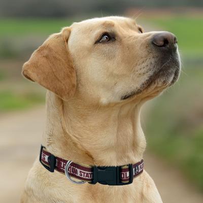 Show full view: Pets First Satin Nylon Standard Dog Collar, Florida State, Medium: 10 to 16-in neck, 5/8-in wide slide 5 of 6