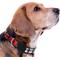 Show in main carousel: Pets First Satin Nylon Standard Dog Collar, Illinois, Large: 14 to 24-in neck, 1-in wide slide 5 of 7