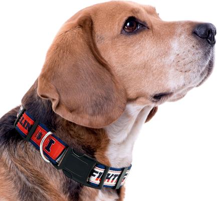 Show full view: Pets First Satin Nylon Standard Dog Collar, Illinois, Large: 14 to 24-in neck, 1-in wide slide 5 of 7