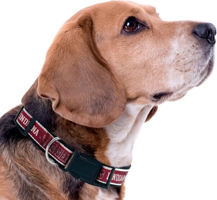 Show full view: Pets First Satin Nylon Standard Dog Collar, Indiana, Large: 14 to 24-in neck, 1-in wide slide 4 of 6