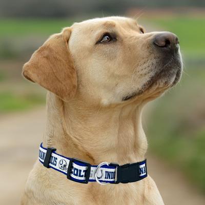 Show full view: Pets First Satin Nylon Standard Dog Collar, Indianapolis Colts, Small: 6 to 12-in neck, 3/8-in wide slide 5 of 6
