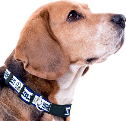 Show full view: Pets First Satin Nylon Standard Dog Collar, Indianapolis Colts, Small: 6 to 12-in neck, 3/8-in wide slide 4 of 6