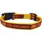 Show in main carousel: Pets First Satin Nylon Standard Dog Collar, Iowa State, Large: 14 to 24-in neck, 1-in wide slide 2 of 6