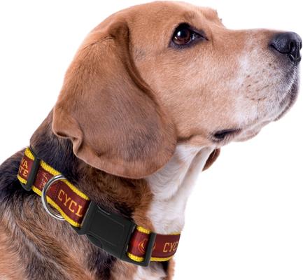 Show full view: Pets First Satin Nylon Standard Dog Collar, Iowa State, Large: 14 to 24-in neck, 1-in wide slide 4 of 6