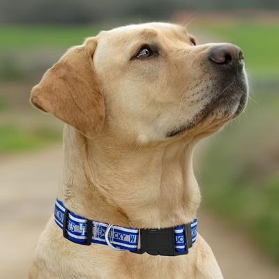 Show full view: Pets First Satin Nylon Standard Dog Collar, Kentucky, Medium: 10 to 16-in neck, 5/8-in wide slide 5 of 6