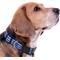 Show in main carousel: Pets First Satin Nylon Standard Dog Collar, Kentucky, Medium: 10 to 16-in neck, 5/8-in wide slide 4 of 6
