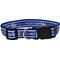 Show in main carousel: Pets First Satin Nylon Standard Dog Collar, Kentucky, Small: 6 to 12-in neck, 3/8-in wide slide 1 of 7