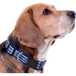 Show in main carousel: Pets First Satin Nylon Standard Dog Collar, Kentucky, Small: 6 to 12-in neck, 3/8-in wide slide 4 of 6
