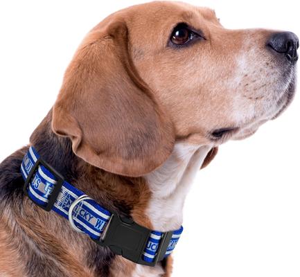 Show full view: Pets First Satin Nylon Standard Dog Collar, Kentucky, Small: 6 to 12-in neck, 3/8-in wide slide 5 of 7