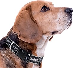 Pets First Satin Nylon Standard Dog Collar, Las Vegas Raiders, Small: 6 to 12-in neck, 3/8-in wide slide 2 of 5