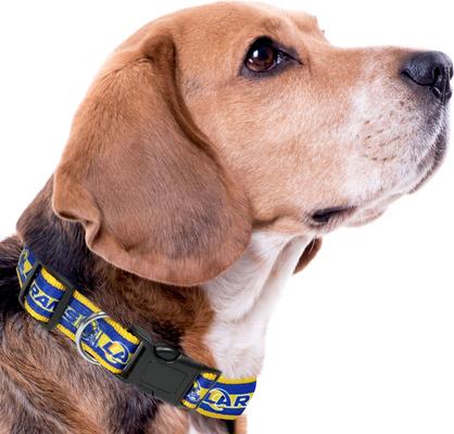 Show full view: Pets First Satin Nylon Standard Dog Collar, Los Angeles Rams, Small: 6 to 12-in neck, 3/8-in wide slide 5 of 7