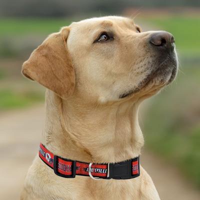 Show full view: Pets First Satin Nylon Standard Dog Collar, Louisville, Small: 6 to 12-in neck, 3/8-in wide slide 5 of 6