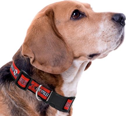 Show full view: Pets First Satin Nylon Standard Dog Collar, Louisville, Small: 6 to 12-in neck, 3/8-in wide slide 4 of 6