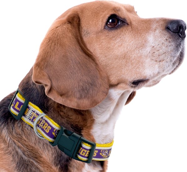 Show full view: Pets First Satin Nylon Standard Dog Collar, Lsu, Large: 14 to 24-in neck, 1-in wide slide 3 of 6