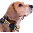 Show in main carousel: Pets First Satin Nylon Standard Dog Collar, Lsu, Large: 14 to 24-in neck, 1-in wide slide 3 of 6