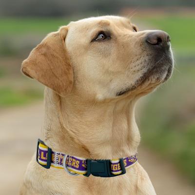 Show full view: Pets First Satin Nylon Standard Dog Collar, Lsu, Small: 6 to 12-in neck, 3/8-in wide slide 5 of 6